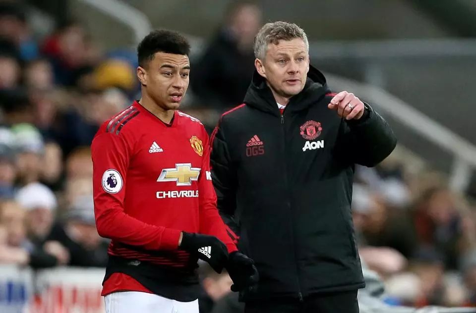 他们并不像 他们并不像