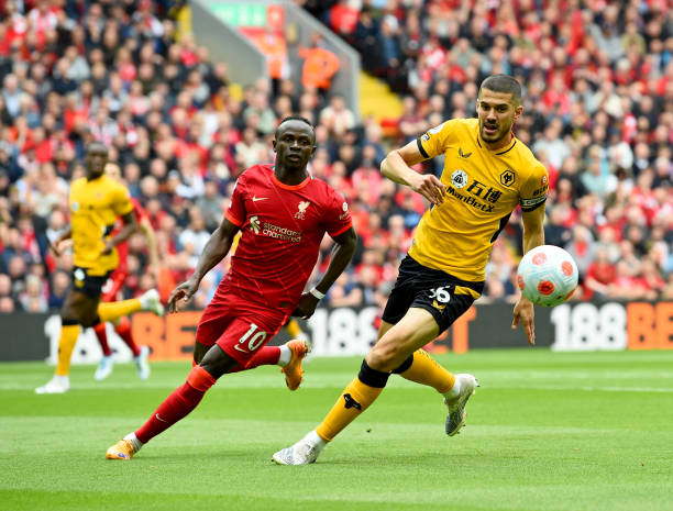 冬季运动的 冬季运动的