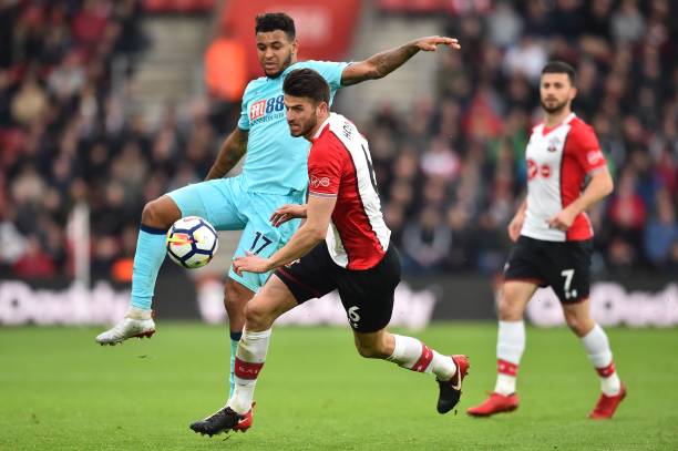 他们采用了 他们采用了